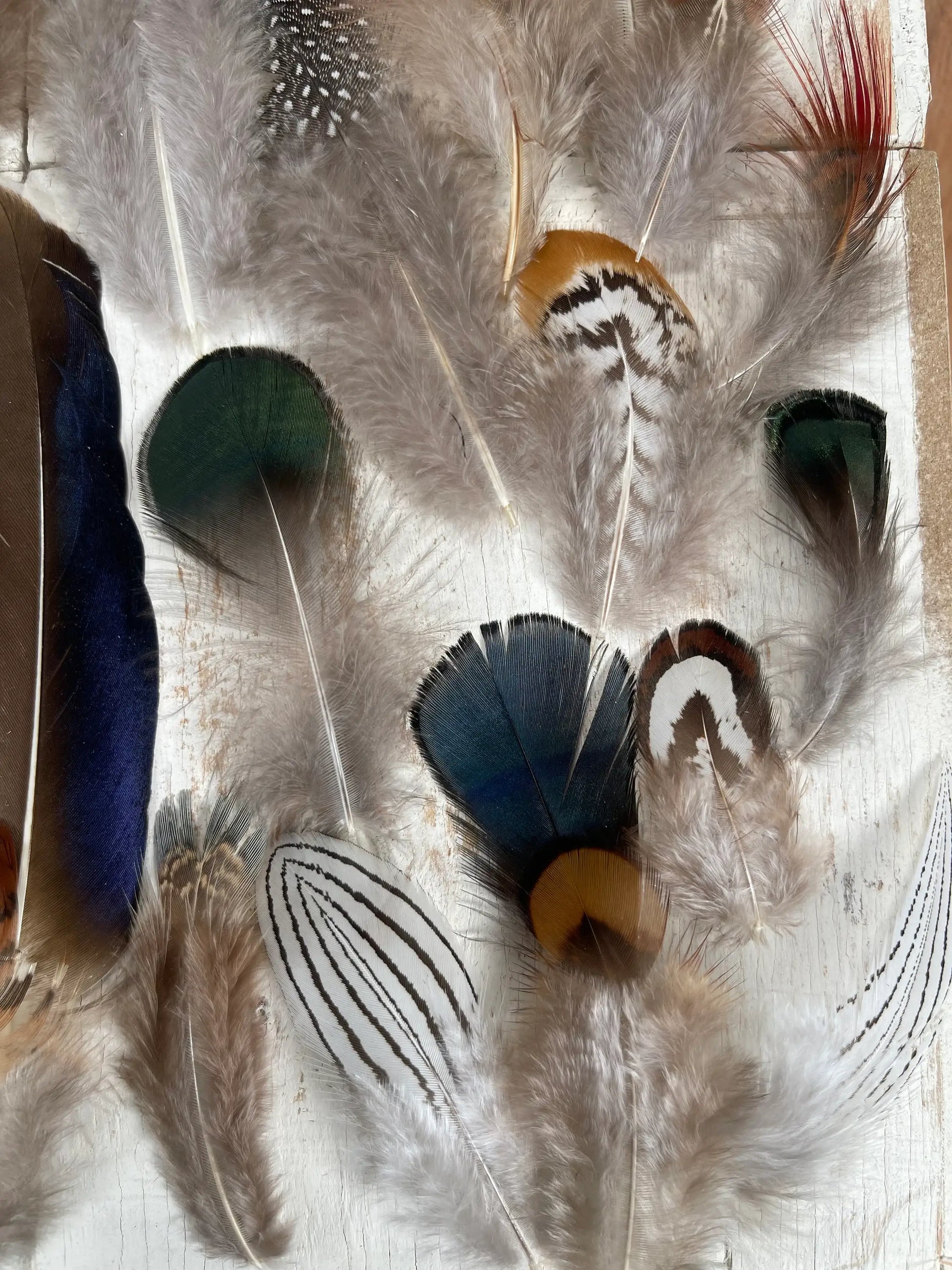 All Natural Feather Assortment,50 Pieces mix  Short1.5-6.5in - Broadmoor Hat Company