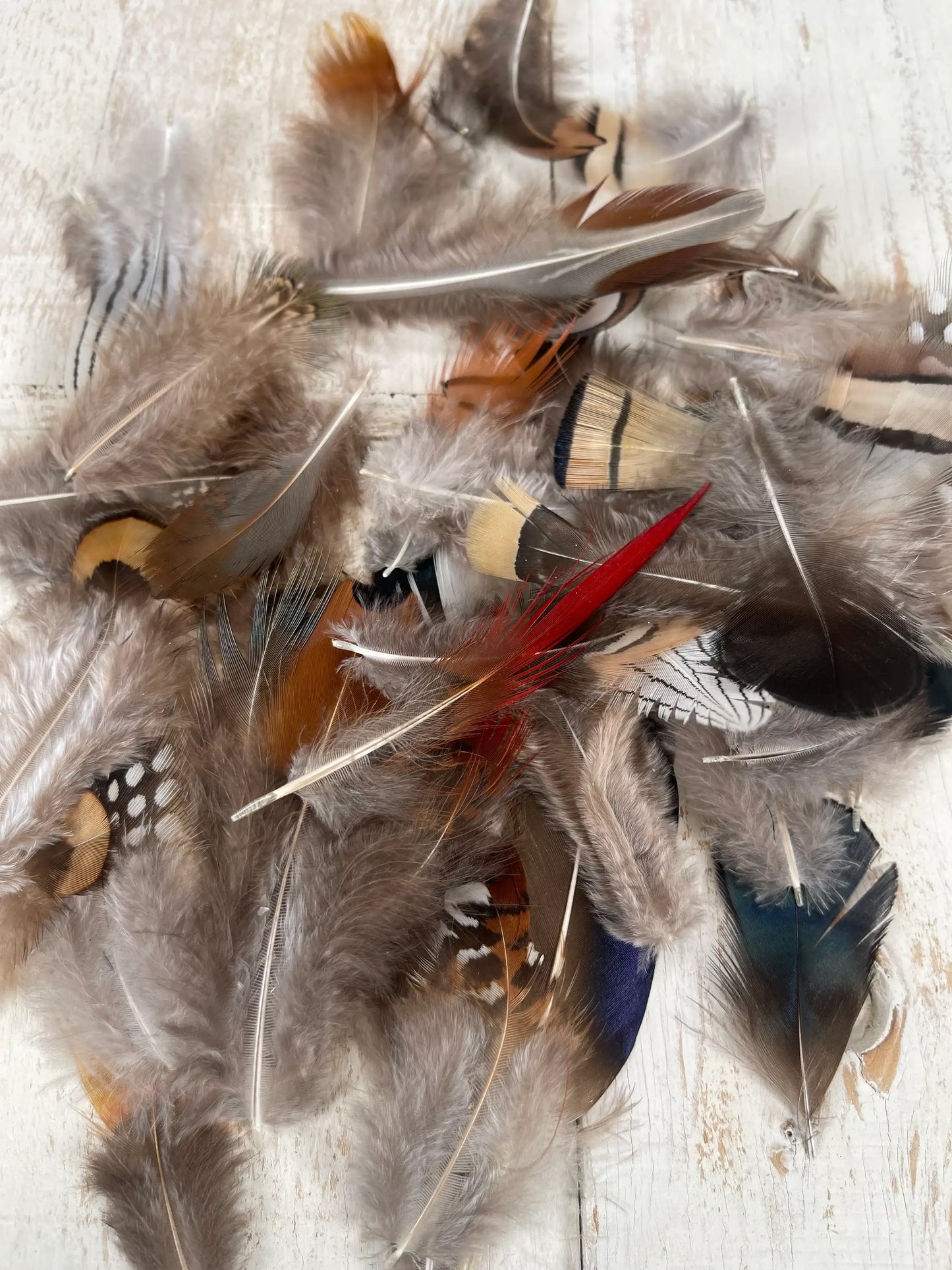 All Natural Feather Assortment,50 Pieces mix  Short1.5-6.5in - Broadmoor Hat Company