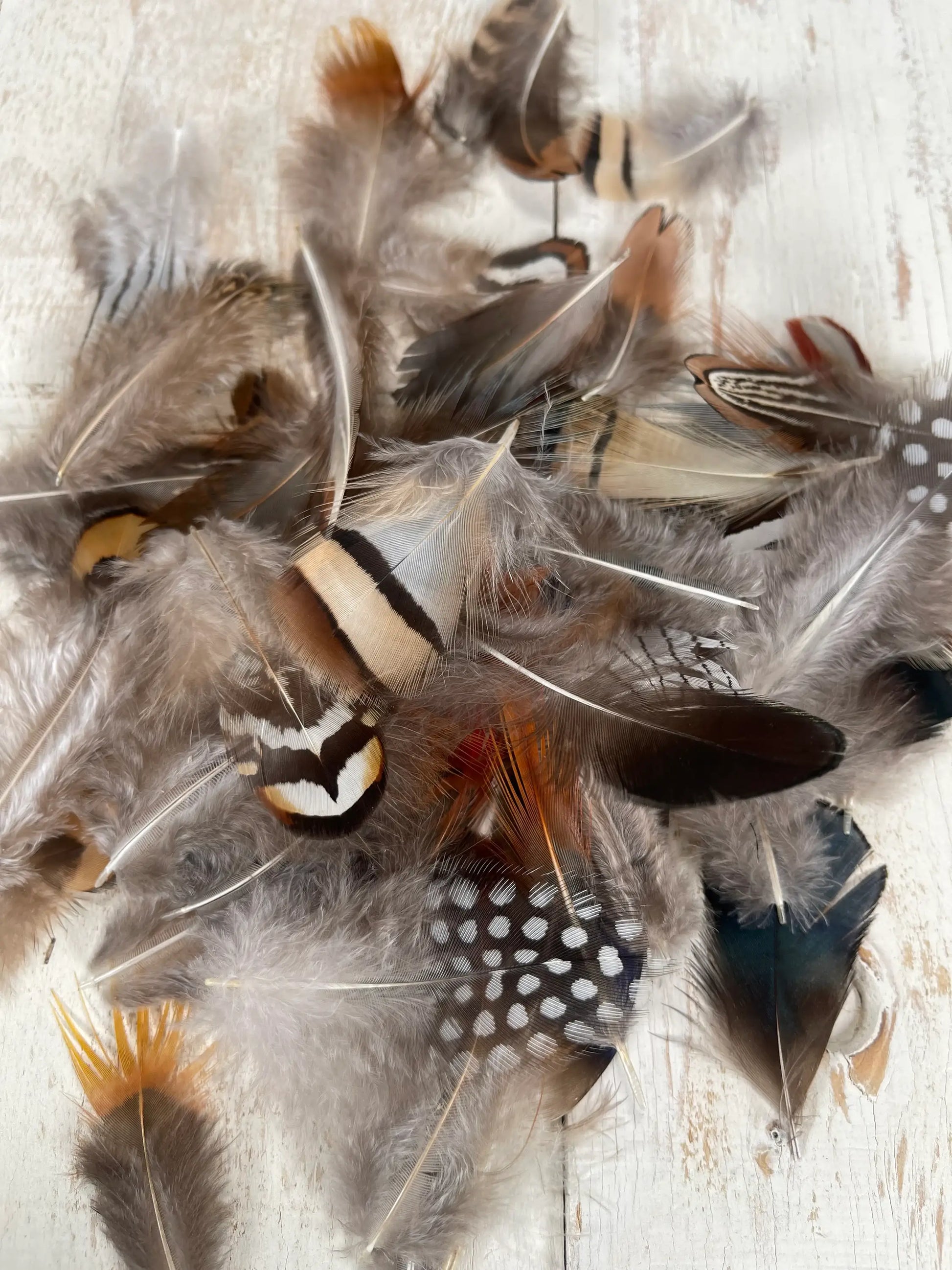 All Natural Feather Assortment,50 Pieces mix  Short1.5-6.5in - Broadmoor Hat Company