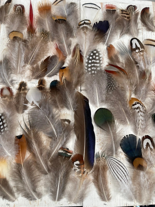 All Natural Feather Assortment,50 Pieces mix  Short1.5-6.5in - Broadmoor Hat Company