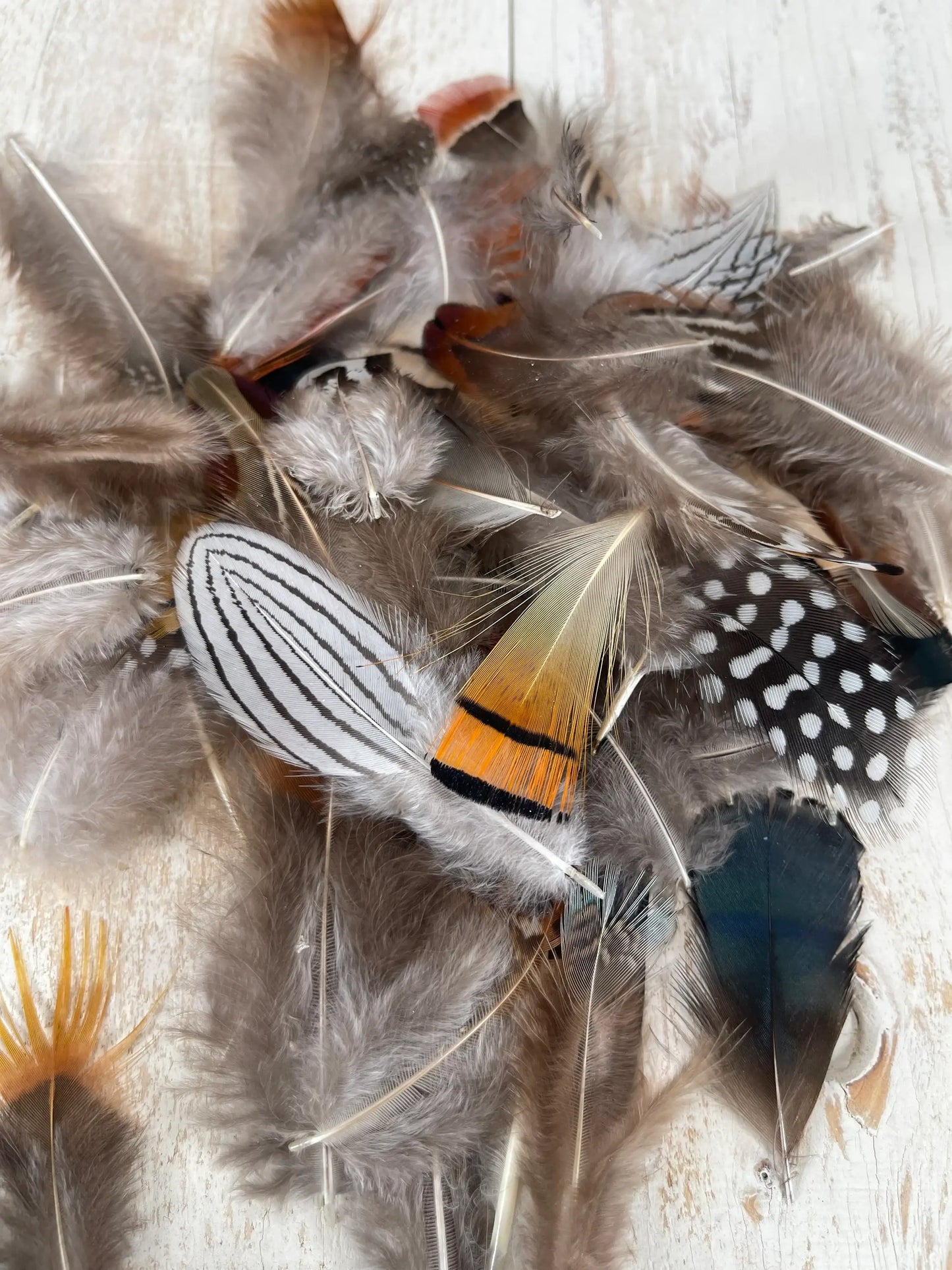 All Natural Feather Assortment,50 Pieces mix  Short1.5-6.5in - Broadmoor Hat Company