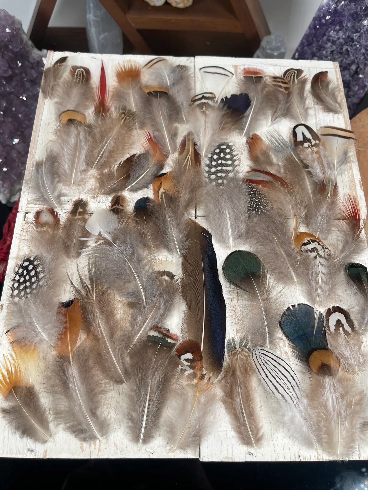 All Natural Feather Assortment,50 Pieces mix  Short1.5-6.5in - Broadmoor Hat Company