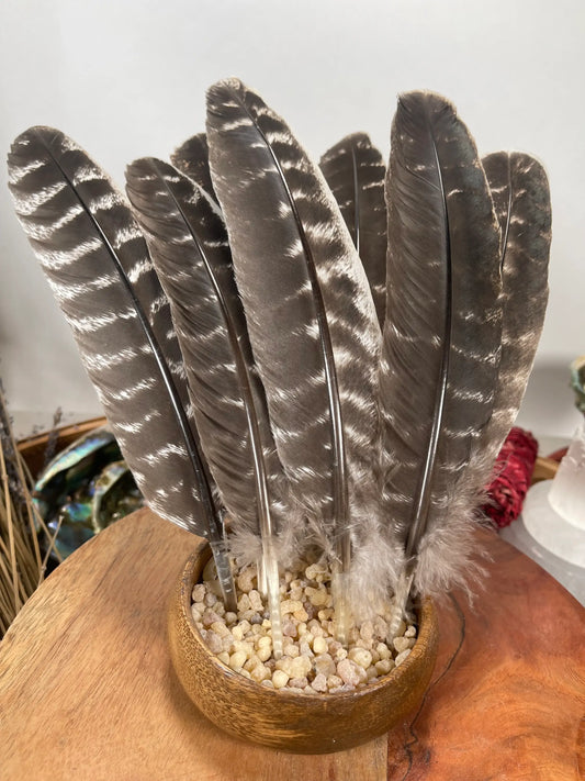 Natural Turkey Feathers, Smudging Feathers 6"-10" - Broadmoor Hat Company